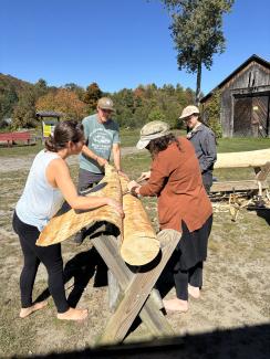 pulling bark