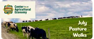 july pasture walks