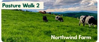 northwind pasture walk 2