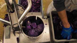 The Just Cut teams process cabbage at the Center for an Agricultural Economy’s Vermont Food Venture Center in Hardwick. Photo Credit: Elizabeth Rossano 
